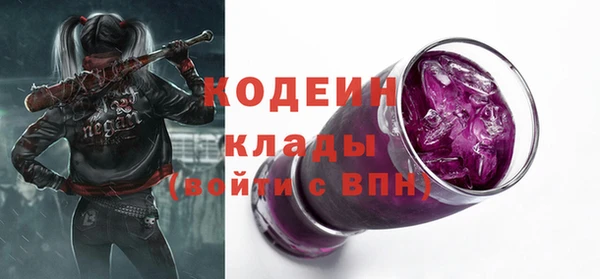 МДПВ Кукмор