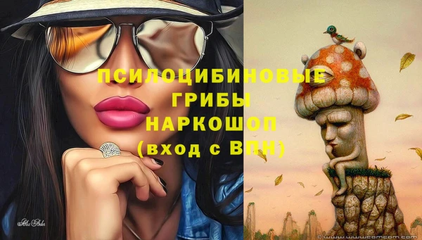 МДПВ Кукмор