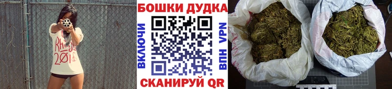 Канабис сатива Миньяр