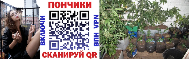 Канабис Ganja  Купить закладки  Миньяр 